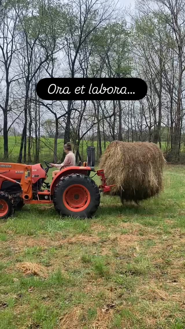 Transplanting flowers, moving sheep, cutting down some unruly vines—it’s all on the to-do list…🐏🚜🌾

Lord, receive the work of my hands—the seen and the unseen. Let it bear fruit in ways I may never notice. 🌿

#OraEtLabora  #homestead #CountryLife
