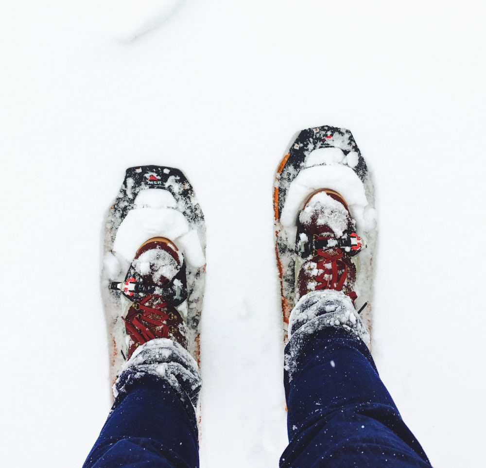 Footprints in the Snow – Words Like Honey