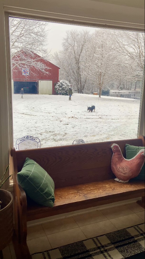 Winter days, warm ovens, soft hearts 💜🙏

#advent #kentucky #homestead #winter #snowday