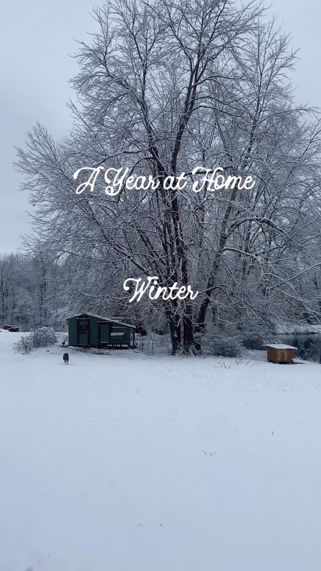 This year has reminded me that there truly is a season for everything. ❄️🌱🌾🍁

Some seasons are full of growth and green abundance, others are quiet and hidden, a slow work happening beneath the soil where no one can see. There were days when the chores felt endless, days when the trees came alive in color, and days when the fields stood still and silent. But in each one, God was faithful.

Looking back, I’m grateful for the rhythms that ground us: feeding animals, watching storms roll across the hills, spinning honey, planting seeds, harvesting what the Lord made fruitful. These small, ordinary moments are where grace meets us, forming us just as surely as He shapes the seasons.

I’m learning to trust the quiet stretches just as much as the bustling ones. To receive both pruning and flourishing as gifts. To remember that life doesn’t have to look busy to be meaningful; sometimes the most important work God is doing is hidden in the root, the heart, the home. 💙

There’s a beauty in knowing that the Lord appoints each season with purpose. And there’s hope in knowing He’s already preparing the next one.

So here’s to a new day, a new year, and whatever God grows from this soil and this season. 🌱

#Farm #kentucky  #home #simple #faith