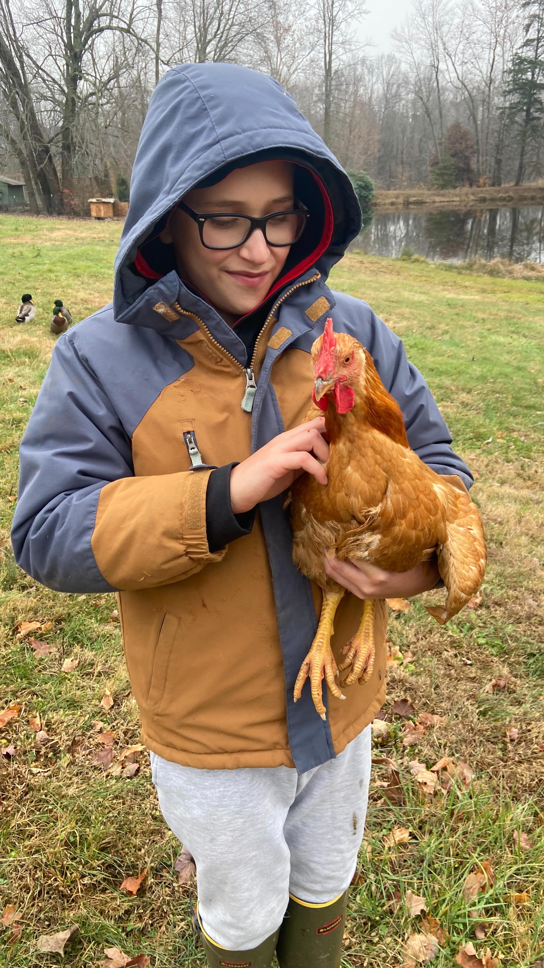 If you ever wonder what homesteading can be like… it’s equal parts adorable kids holding chickens and Mom and Dad still wrapping birds ‘til midnight.

Tired? Very.
Worth it? I can hardly wait for chicken soup!!🐓

#homestead #farm #kentucky #kentuckyproud #meatbirds