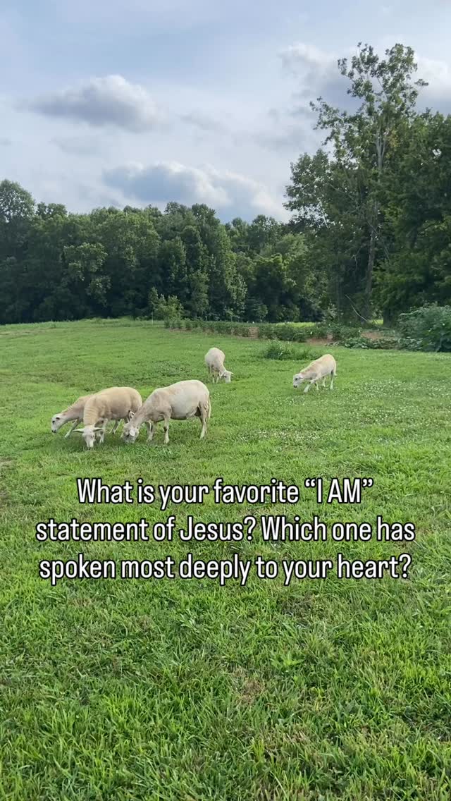 For me, it’s: “I am the good shepherd.” (John 10:11)

The One who knows me by name.
Who doesn’t drive or demand… but gently leads.
Who searches when I wander… and rejoices when I’m found.
Who doesn’t run at danger… but lays down His life for His sheep. ✝️

There is such peace in belonging to Him.

In a world that tells us to strive, perform, and prove, we have a Shepherd who simply asks us to stay close.

“and I know my own and my own know me.” (John 10:14) 🐑🙏

Which “I AM” of Jesus is speaking to your heart right now? 

#Goodshepherd #catholic #iam #jesus #homestead